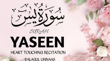 Surah Yasin (Yaseen) سورة يس | This Majestic Voice will TOUCH your Heart إن شاء الله Balagul Linnaas