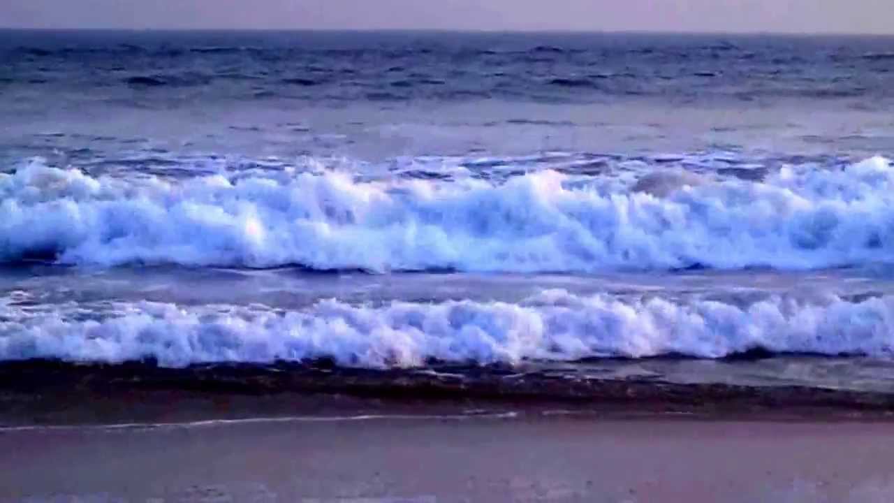 Golden Crabs at Chandrabhaga Beech of Konark odisha cm