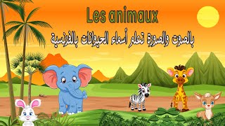 الحيوانات بالفرنسية بالصوت والصورة الجزء الاول - Apprendre les animaux en français