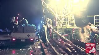 不漁続くサンマ漁…今シーズン最も多い508トンが水揚げ 鮮魚店での価格も1尾200円まで下がる 根室 (20/10/10 18:30)