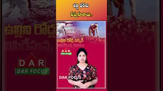 Exports Fall, Onion Rates Collapse | Huge Losses for Farmers | Latest updates | DAR FOCUS