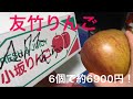 超高級りんご！6個で約6900円のりんご食べてみた