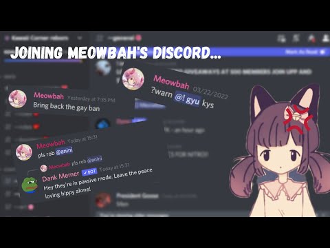 Meowbah on X: i don't use twitter much but, join my discord