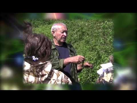 Гидрофиты. Гигрофиты. / Уроки Зарипова Р.Г./