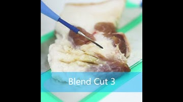 High Frequency Electrosurgical Unit EB05