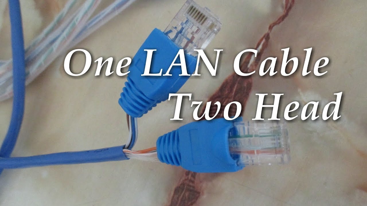 26+ Crimping Ethernet Cable Order Images