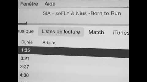 Sia - Born to Run (Demo Snippet)