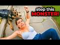 K9 Takes Down the Most Horrifying Karen's During Traffic Stops
