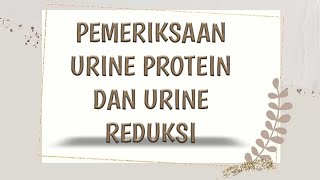 Alviana Wulandari _42022170001_Pemeriksaan Urine Protein dan Urine Reduksi