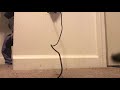brand new vuse pod tastes burnt How to Fix a Burnt Alto Pod: One Simple Trick