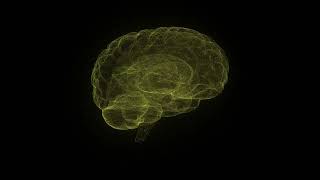 Yellow Sci Fi Hud Human Brain Loop Video | Free Video Backgrounds | MD Animated Background