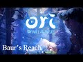 Ori and the Will of the Wisps Walkthrough - Baur's Reach (Part 10)