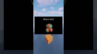 Funniest Minecraft Memes 74