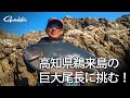 高知県鵜来島で共闘 シーズン初期の巨大尾長グレに挑む!【G WORLD #38】
