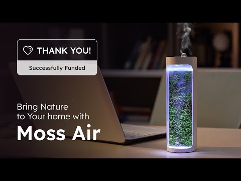 Moss Air: Bring Nature to Your Home