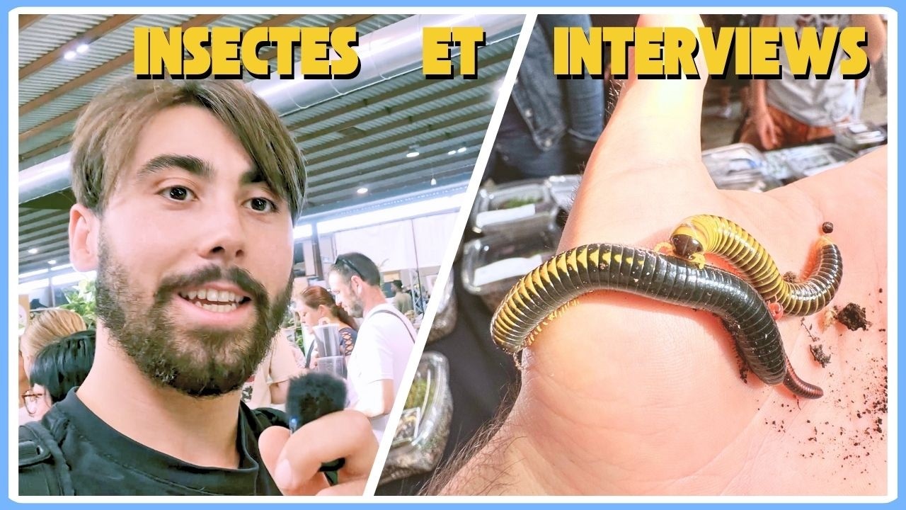 Je me suis baladé dans le plus grand salon terrariophile français ! (GF23)