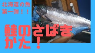 【北海道の魚屋】鮭のさばき方を詳しく見せます