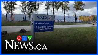 Molson Coors Announces Job Cuts