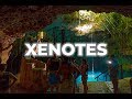 Xenotes tour experience four incredible cenotes  cancuncom