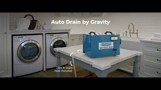 ALORAIR Sentinel HD55 Review – Best Commercial Dehumidifier 2026?