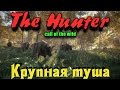 The Hunter Call of the Wild - Крутая добыча