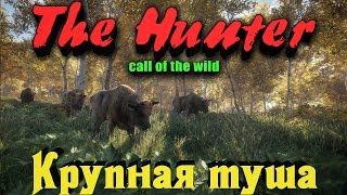 The Hunter Call of the Wild - Крутая добыча