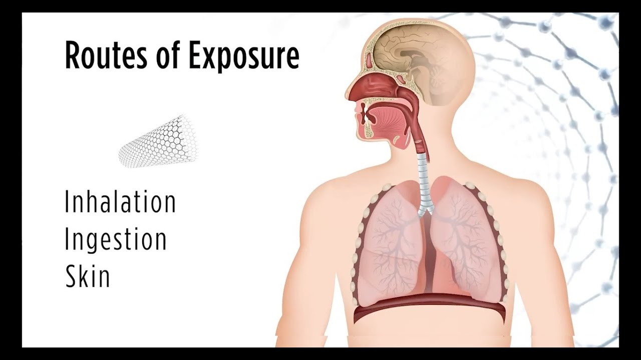 What are Engineered Nanomaterials? Uses and Hazards