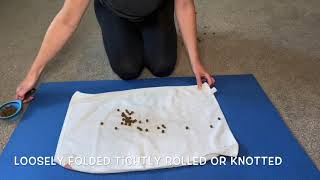 Roll the Towel: An Enrichment Activity for Your Dog by Peach on a Leash Dog Training & Behavior Services 77,603 views 4 years ago 2 minutes, 11 seconds