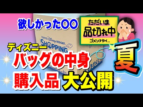 ディズニーオンラインショッピング購入品 ディズニーバッグの中身大公開 夏の必需品はコレ Japan Xanh