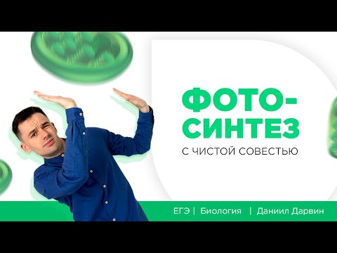 Фотосинтез с чистой совестью | ЕГЭ 2020