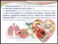 Видеолекция: «Основы здорового образа жизни студента, физическая культура в обеспечении здоровья»