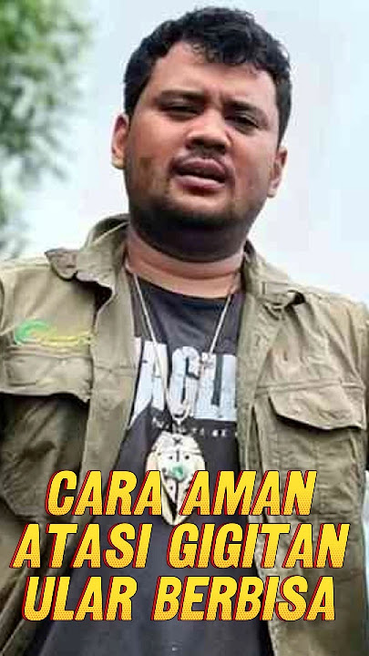 Cara Aman Atasi Gigitan Ular Berbisa Ala Panji Petualang