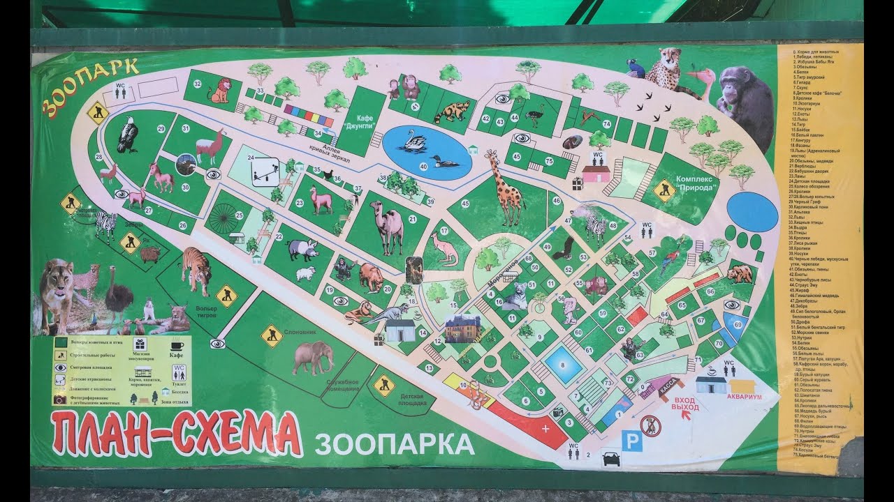 Карта новосибирского зоопарка