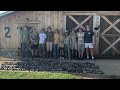 INSANE dove shoot in GA (400+ birds)