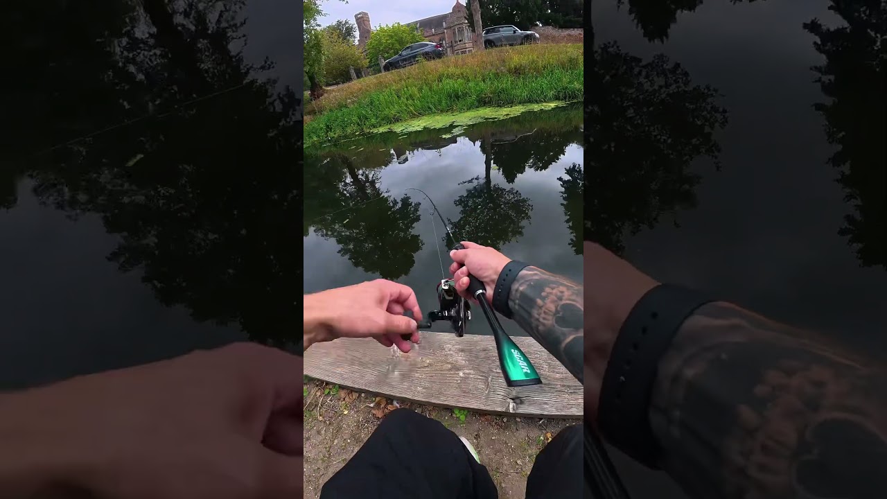 🐟 New Rod, First Fish! 