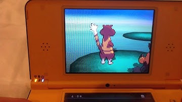 Shiny pidove appears after 1356 random encounters