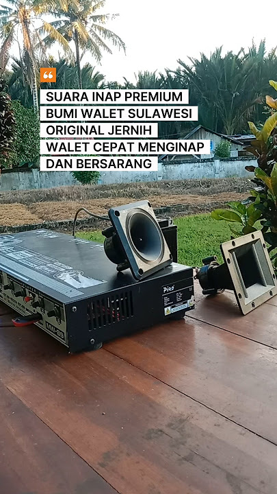SUARA INAP WALET PREMIUM ORIGINAL BWS - Jernih dan Terbukti