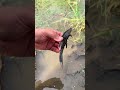 Pez sombi #pesca #mar #fishing #fishman #fish 