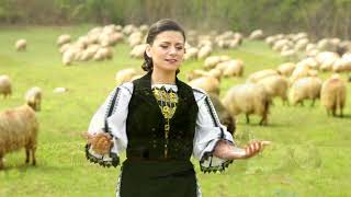 Paula Medrea ❤️ Zori de ziua se revarsa ❗️