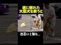 熱中症か？道で動けなくなった犬を救うと..！ #動物保護 #ゴールデンレトリバー