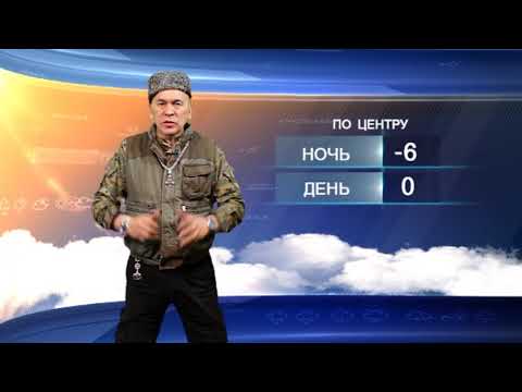 Прогноз на 09 11 2017