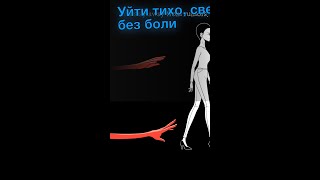 Уйти тихо, светло и без боли