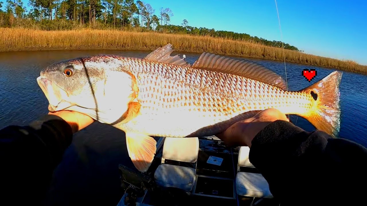 Catching some Mississippi speckled trout and redfish! YouTube