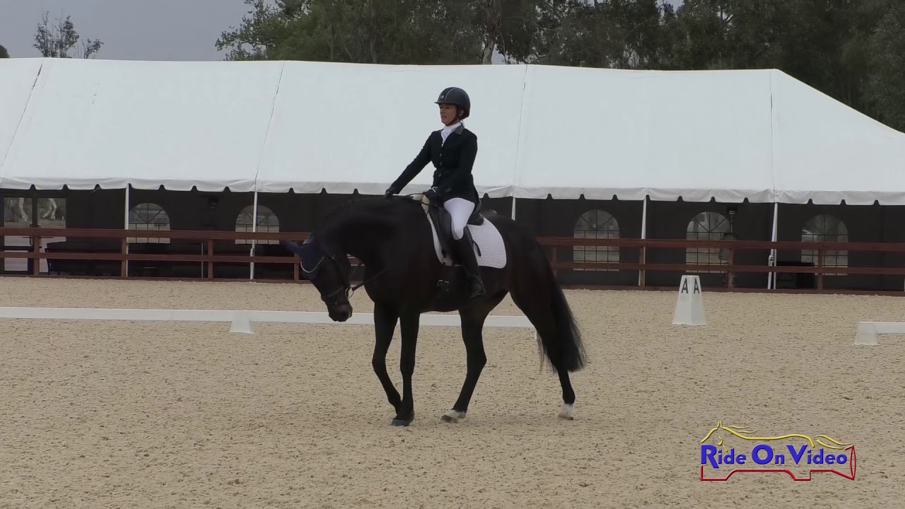 downs sims 059D Erin Kellerhouse on Sir Elijah Craig Training Challenge Dressage Galway Downs May 2019