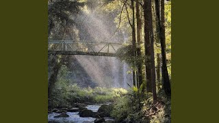 Sunshower 01