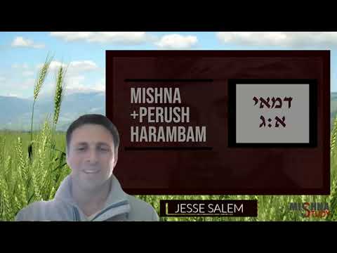 Demai 1 3 Lenient Laws Of Demai Because Of Its Use Jesse Salem Mishna Study