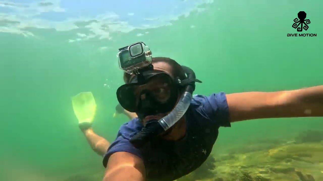 Melhor kit de Mergulho 2022 ! Vision Dry da Dive Motion +CUPOM 