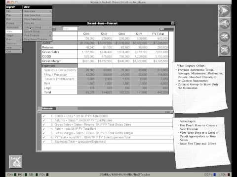 Lotus Improv Demo on NeXTSTEP (Year 1990)