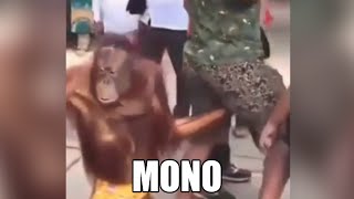 MEMES MUY XD #24