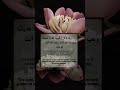 A Dua Every Guided Heart Needs | Qur’an 3:8 #Rabbana 8/40
